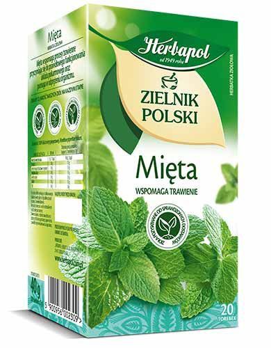 Herbata herbapol zielnik polski mięta 20t